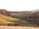alb2_img183.jpg