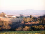 alb2_img181.jpg