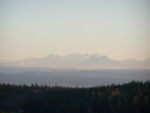 alb2_img158.jpg