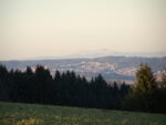 alb2_img174.jpg